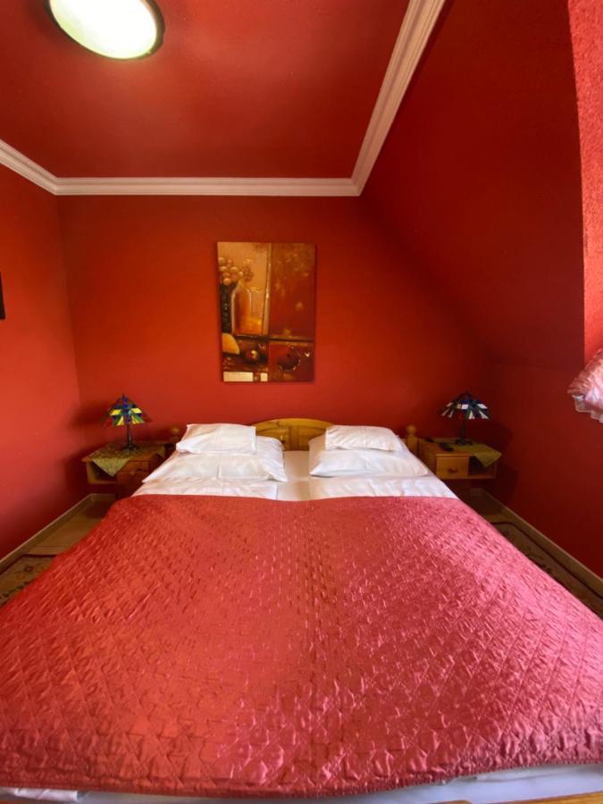 Feher Hattyu Panzio Bed & Breakfast Oroshaza Bagian luar foto